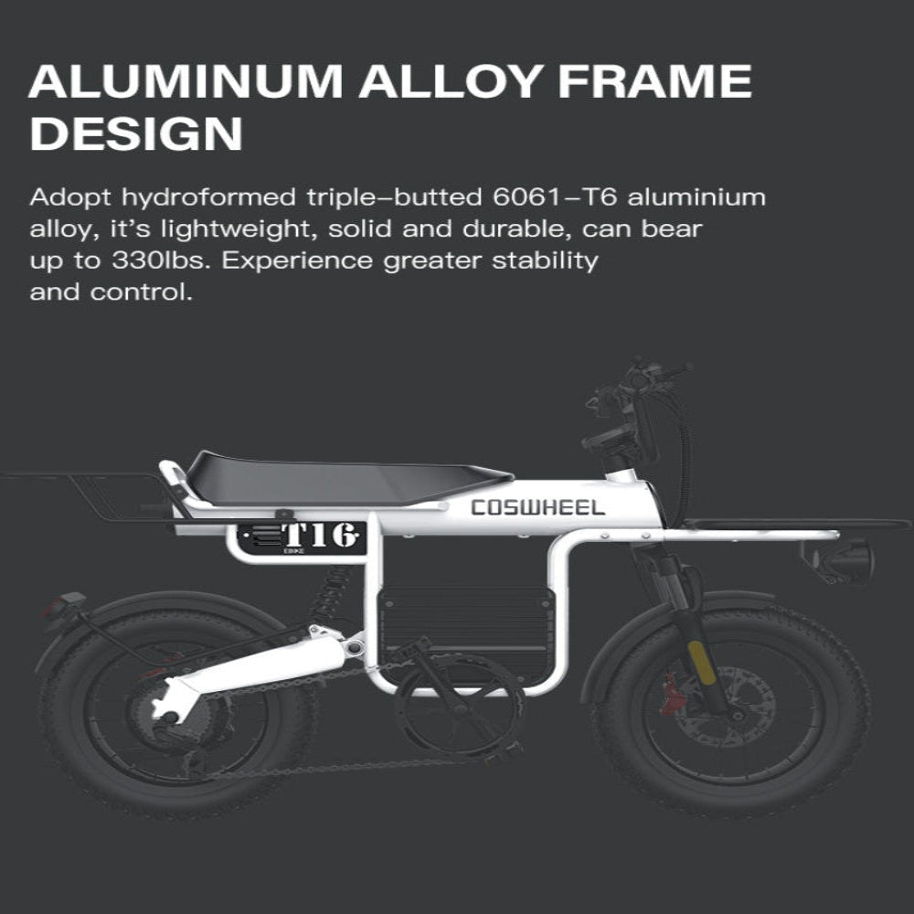 aluminium alloy frame design ebike coswheel
