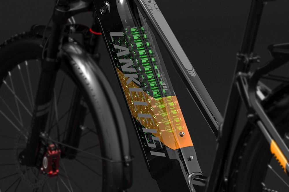 ebike lankeleisi