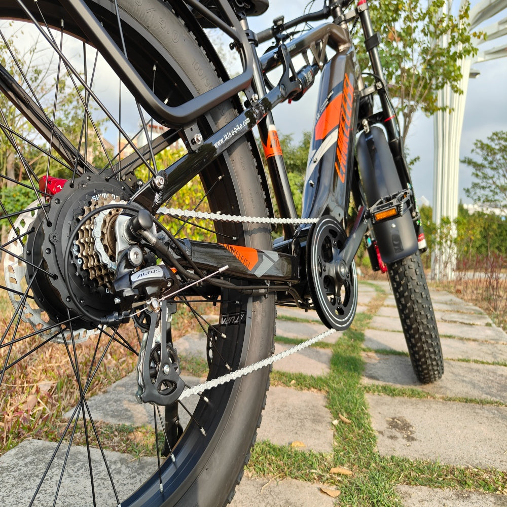 chain wheel ebike