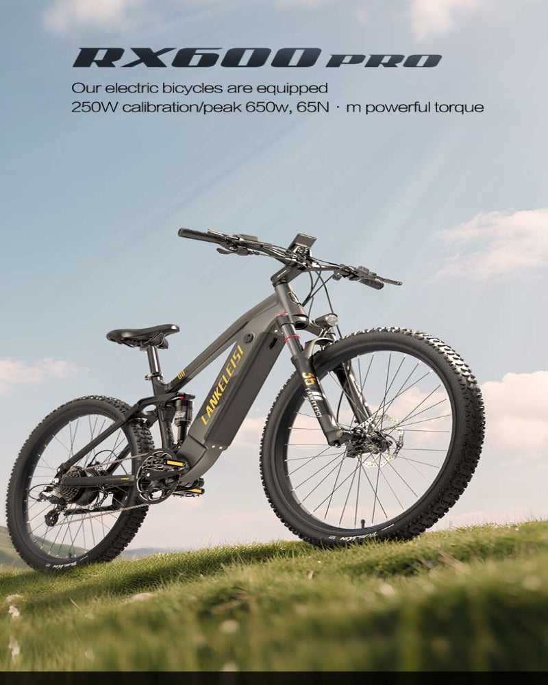Electric bicycle with 'RX600 Pro' branding on a grassy field with a blue sky.