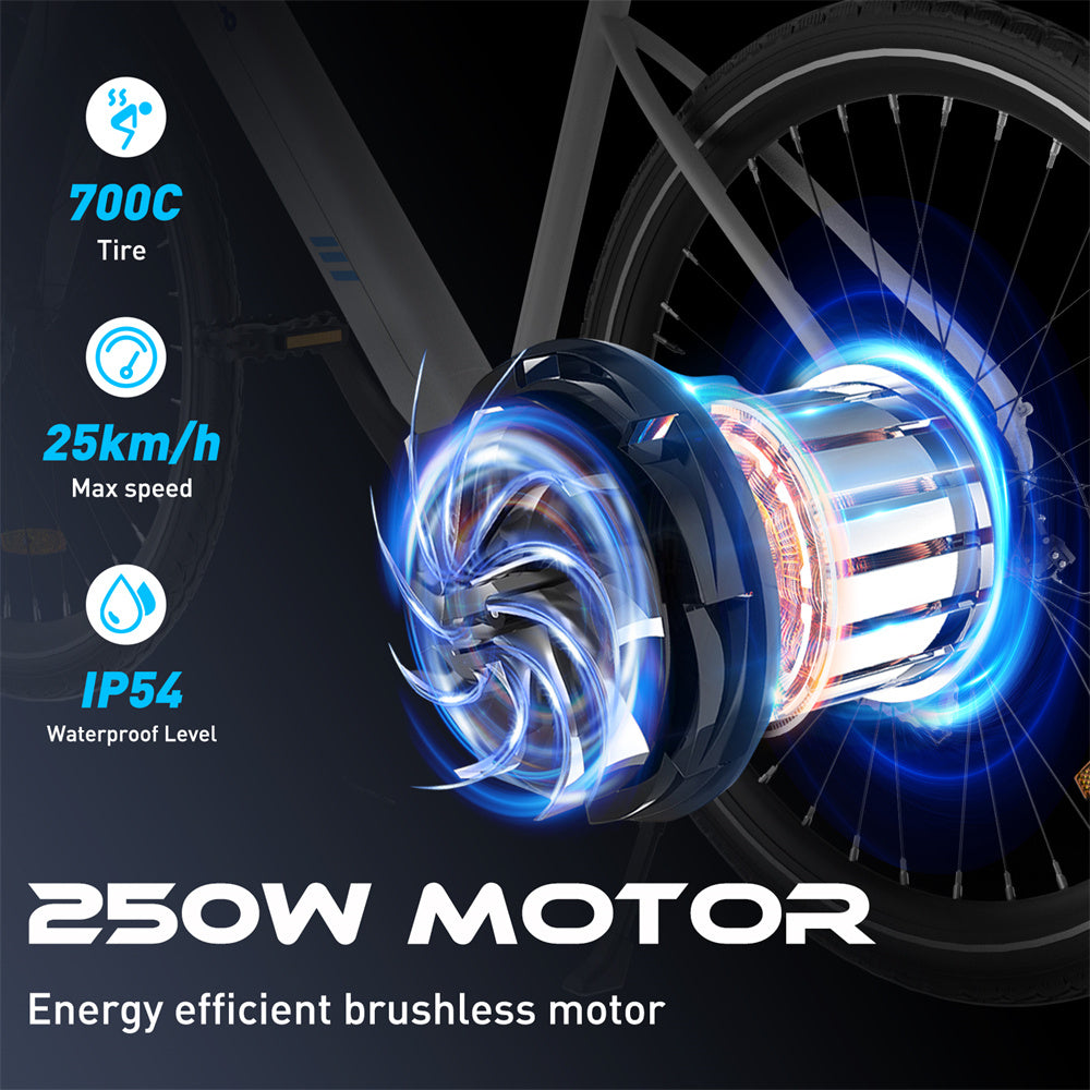 250W MOTOR