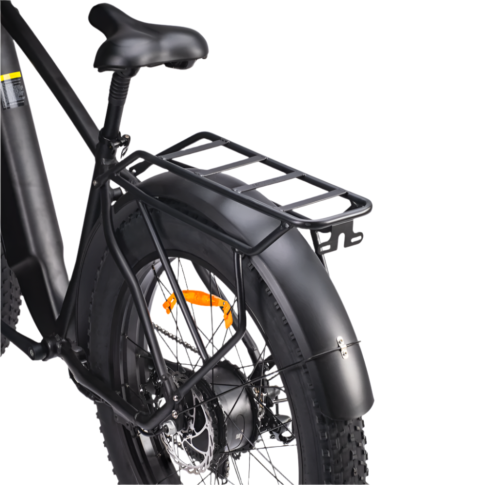 "DYU KING 750 fat tire electric mountain bike with LED display and detachable battery"