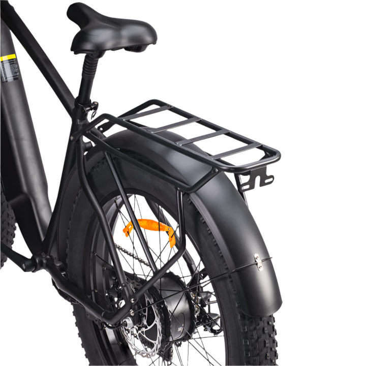 "DYU KING 750 fat tire electric mountain bike with LED display and detachable battery"