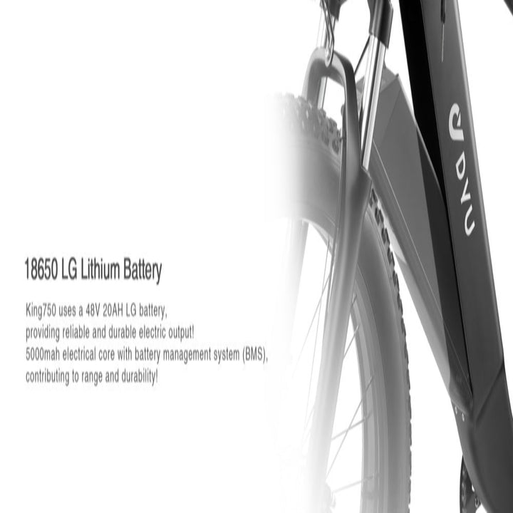 "DYU KING 750 electric mountain bike with fat tires, LED display, and detachable battery"