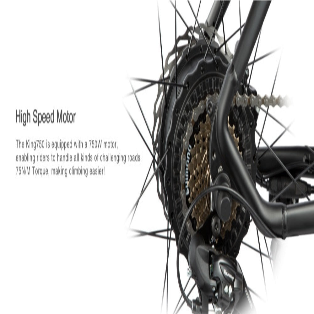 "DYU KING 750 Electric Mountain Bike with fat tires, LED display, and detachable battery"