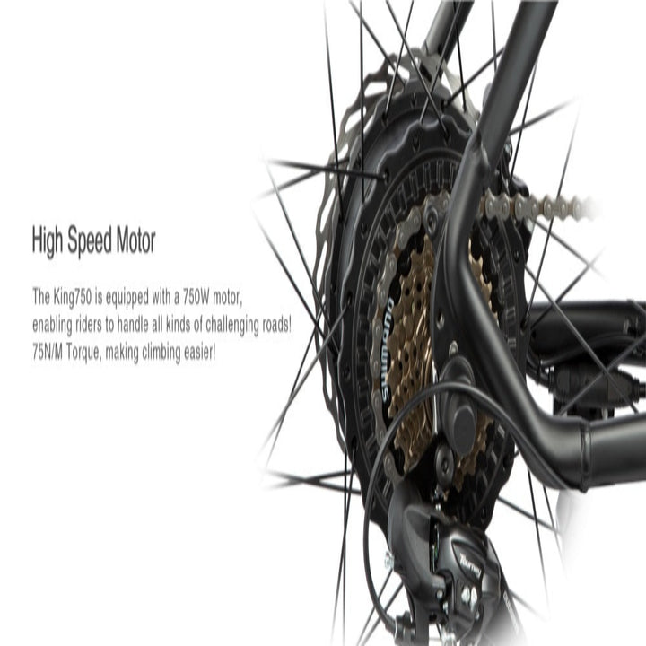 "DYU KING 750 Electric Mountain Bike with fat tires, LED display, and detachable battery"