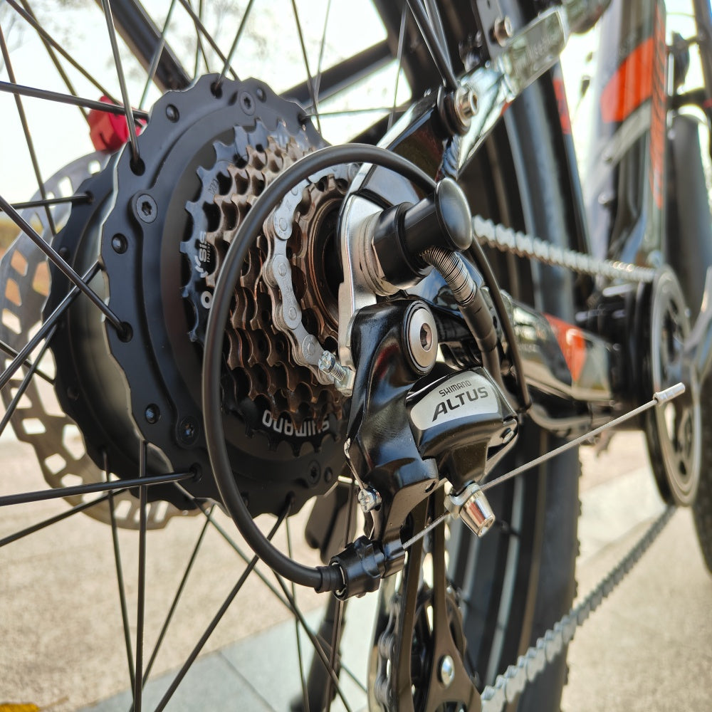 lankeleisi ebike