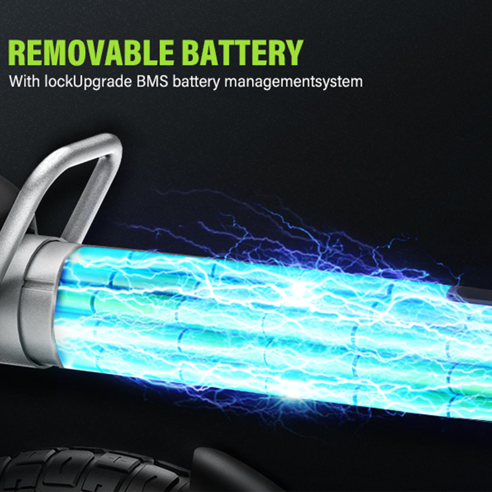removable battery coswheel