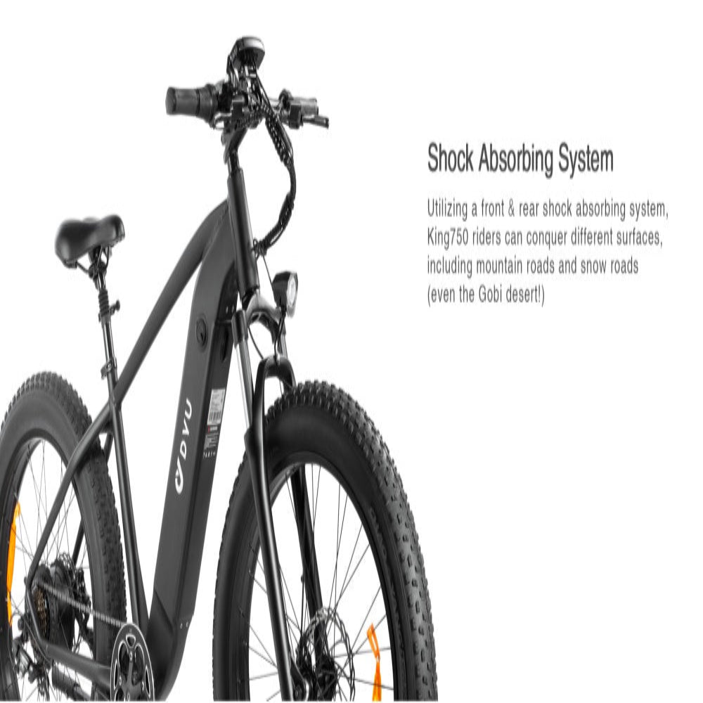"DYU KING 750 electric mountain bike with robust power output, fat tires, large LED display, and detachable battery"