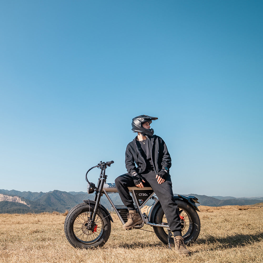 coswheel ebike fat tire