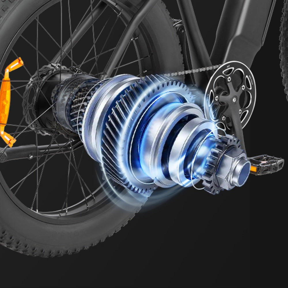 "DYU KING 750 electric mountain bike with fat tires, LED display, and detachable battery"