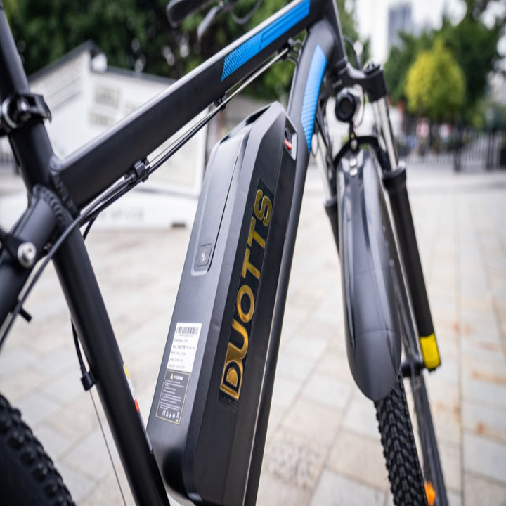 DUO C29 DOPPEL-AKKU-VERSION