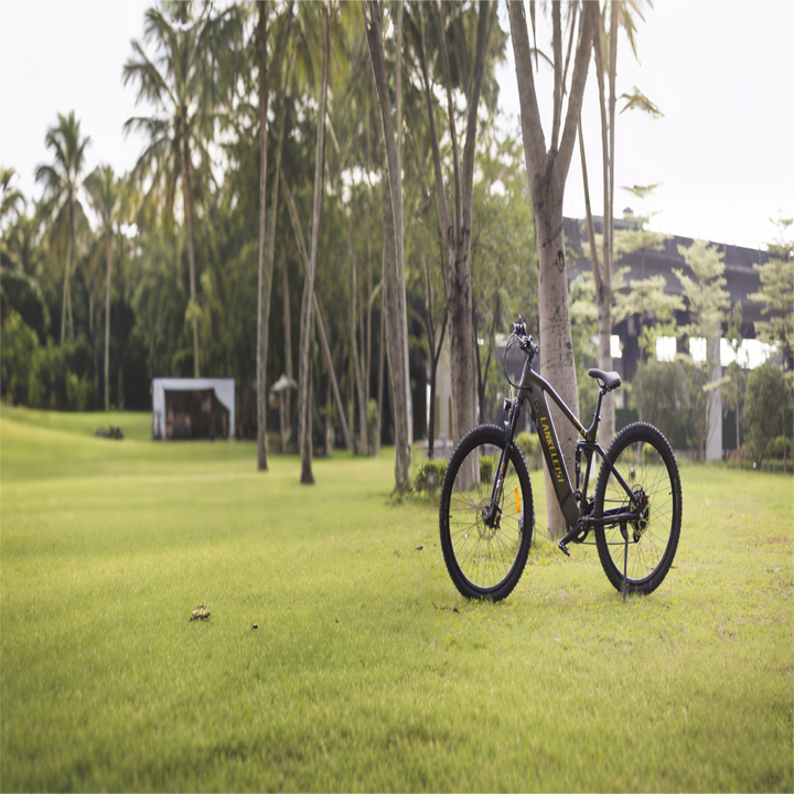 Electric bike on a grassy field with trees in the background
