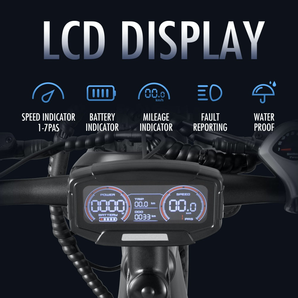 lcd display dyu ebike king 750