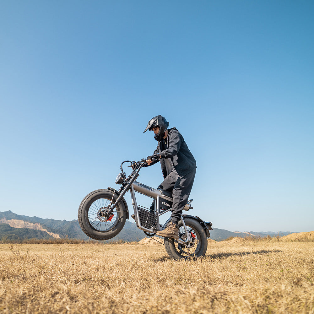 fat tire ebike coswheel