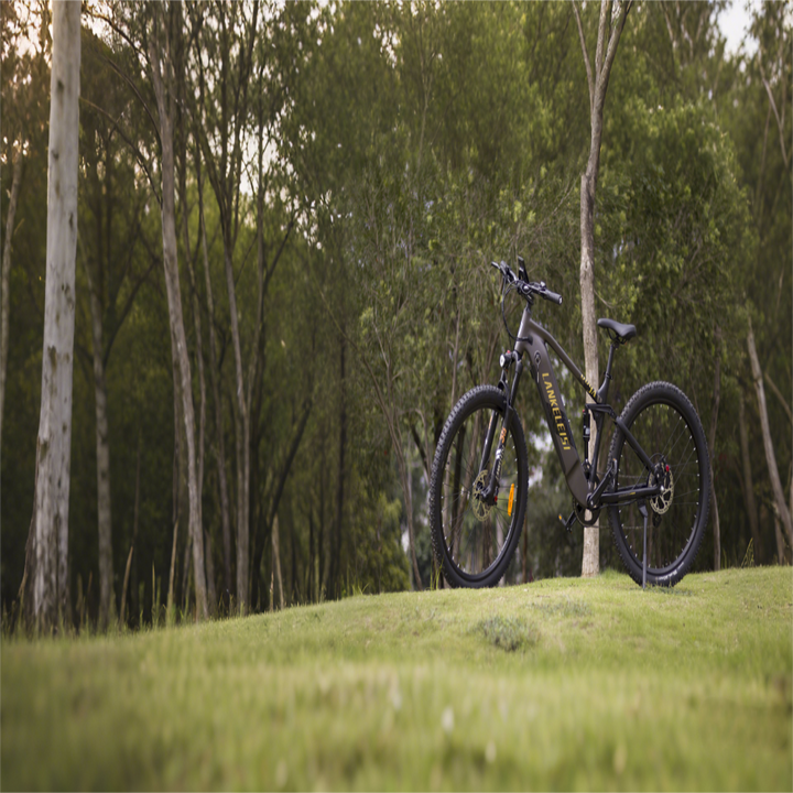 Black bicycle leaning against a tree in a grassy area with trees in the background