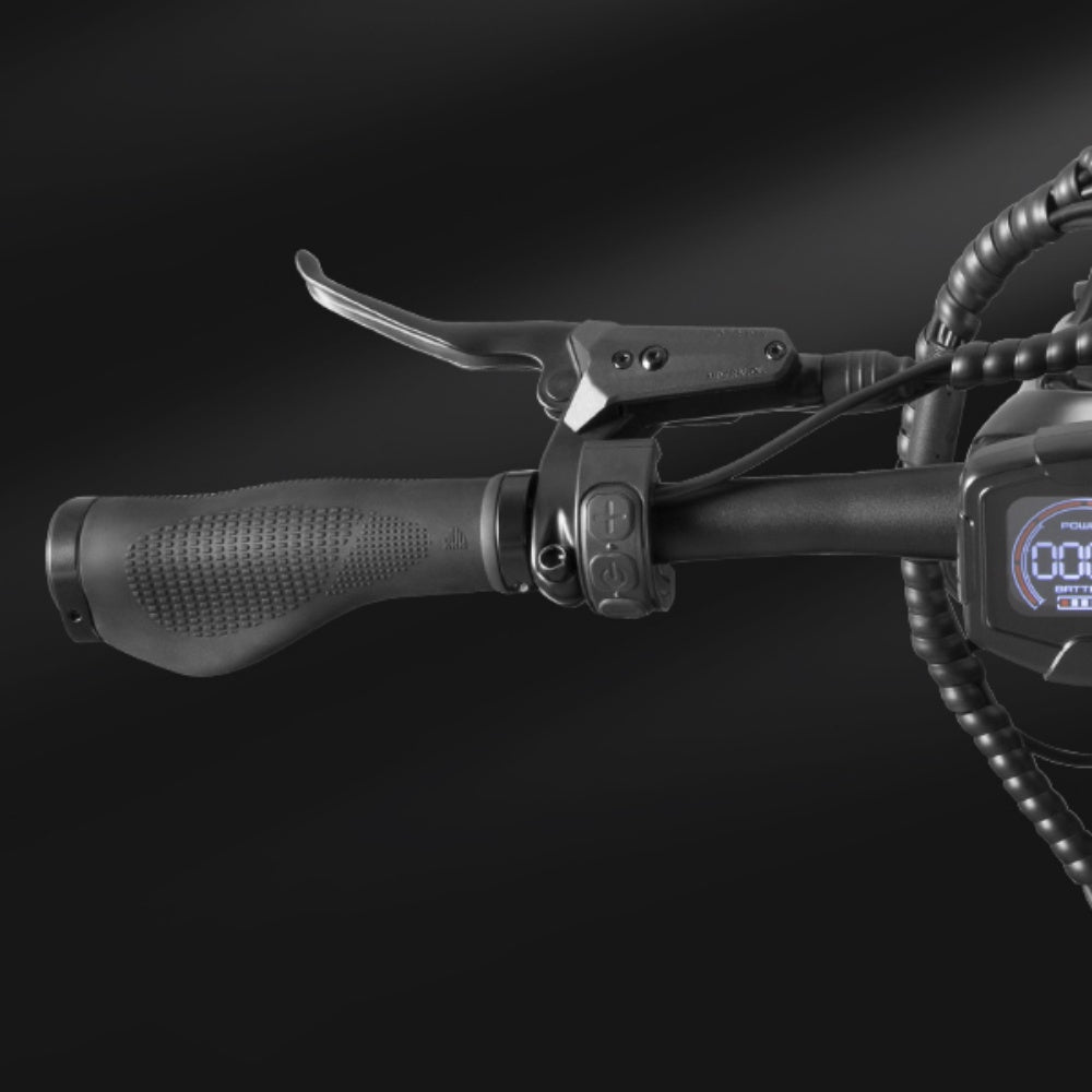 dyu ebike king 750