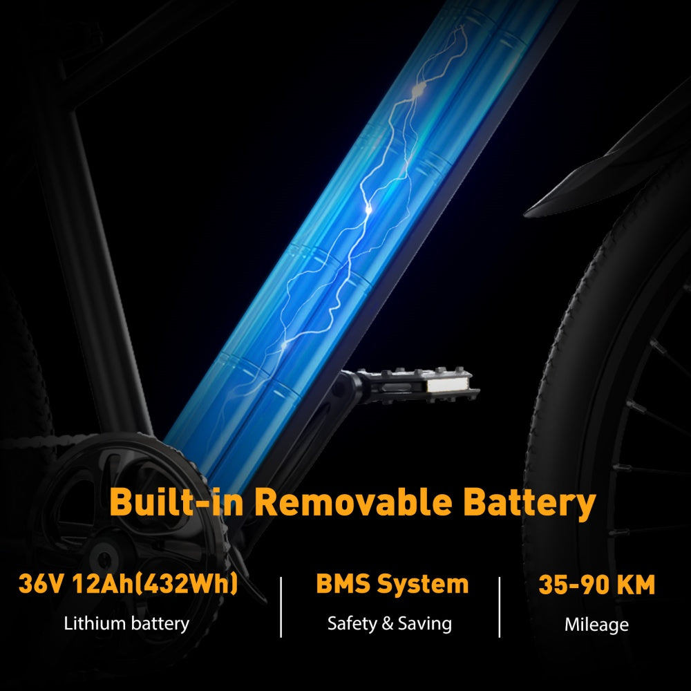 built in removable battery ebike