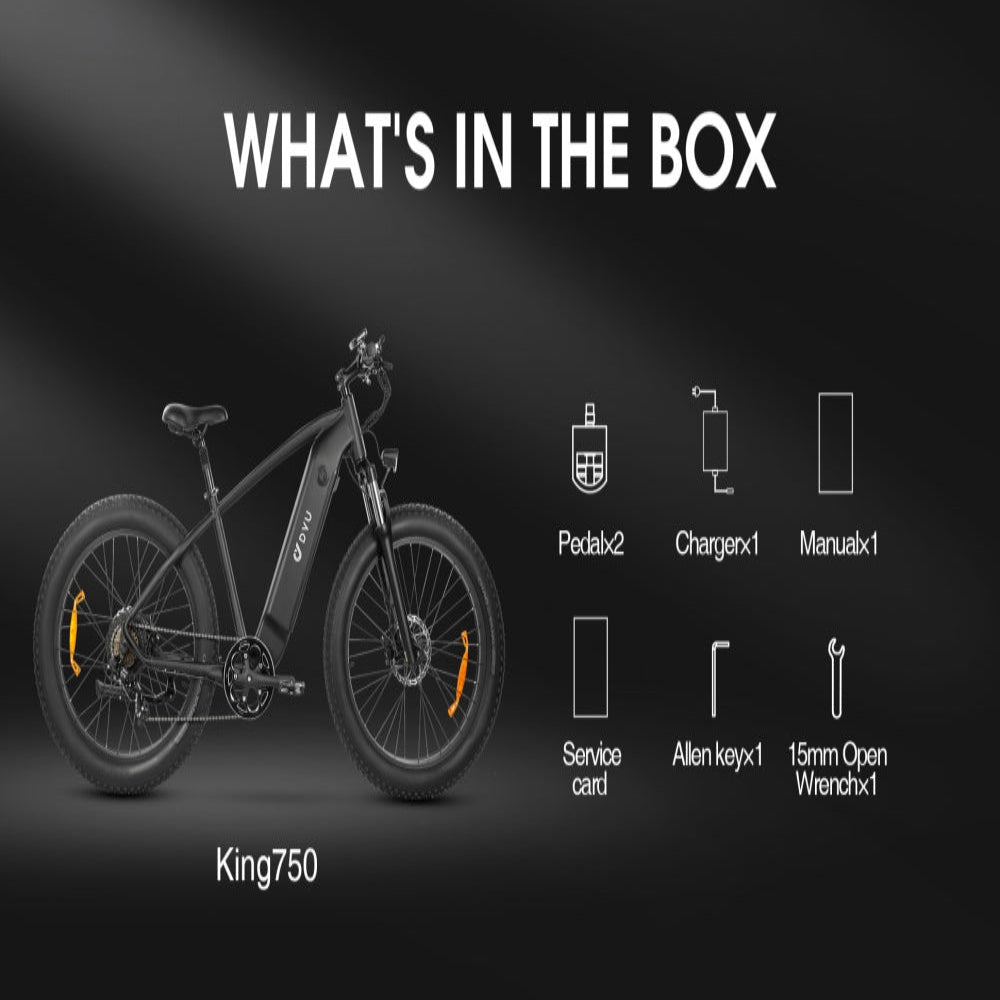 dyu king 750 ebike