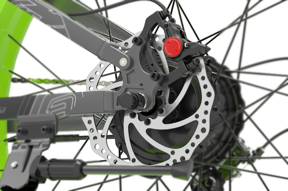lankeleisi ebike