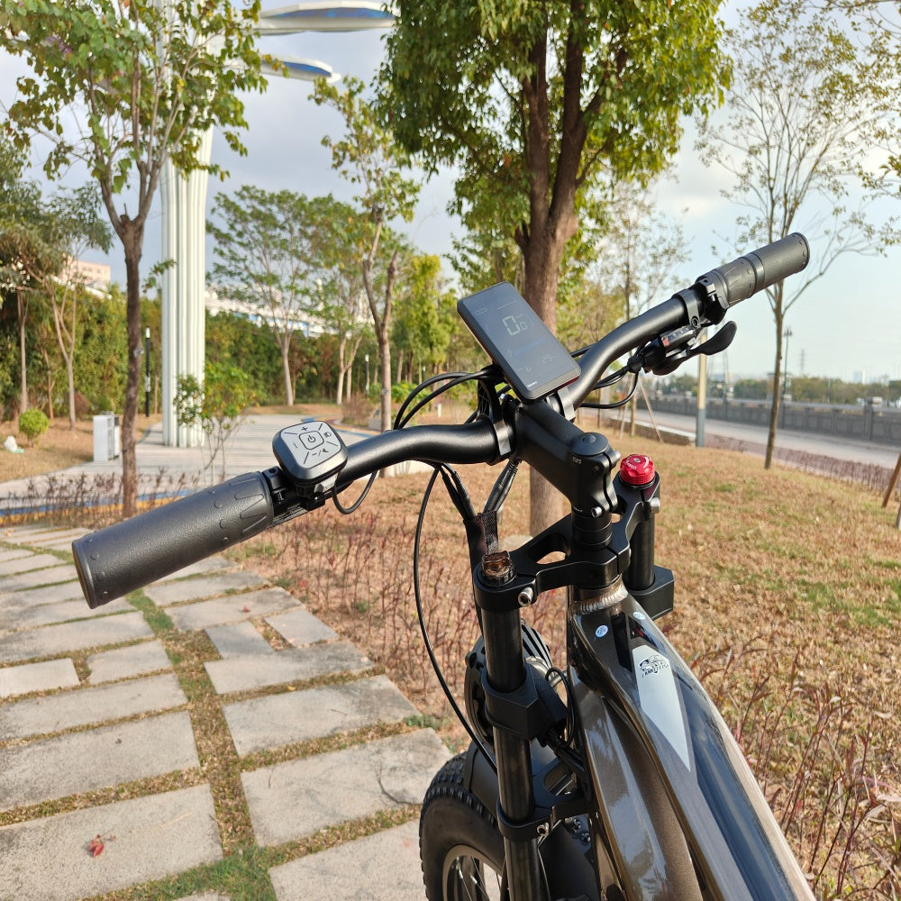 lcd display ebike