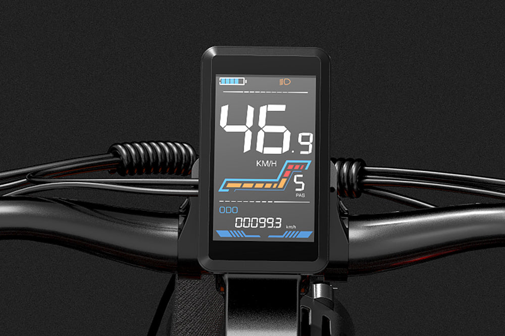 lcd display ebike