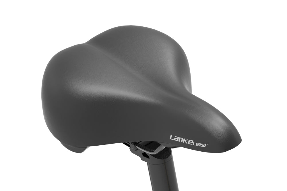 lankeleisi ebike