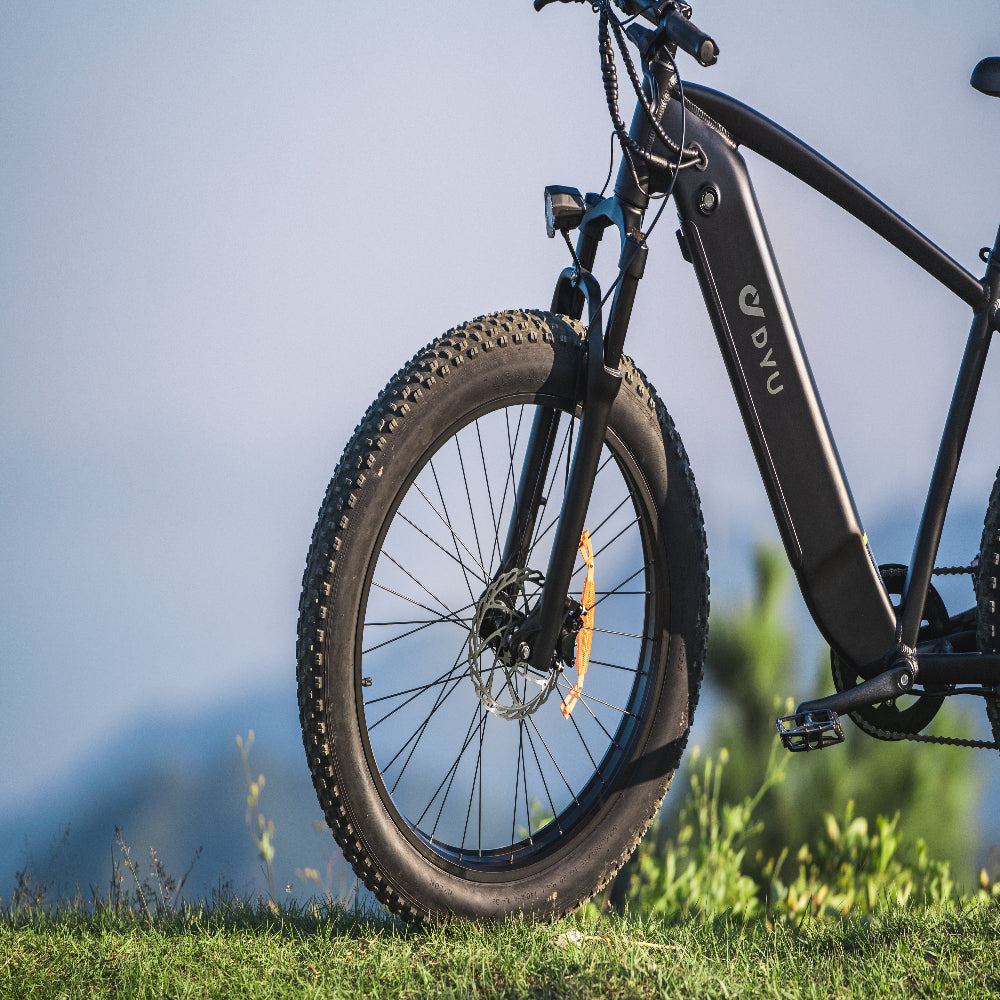 "DYU KING 750 Electric Mountain Bike with fat tires, detachable battery, and LED display"