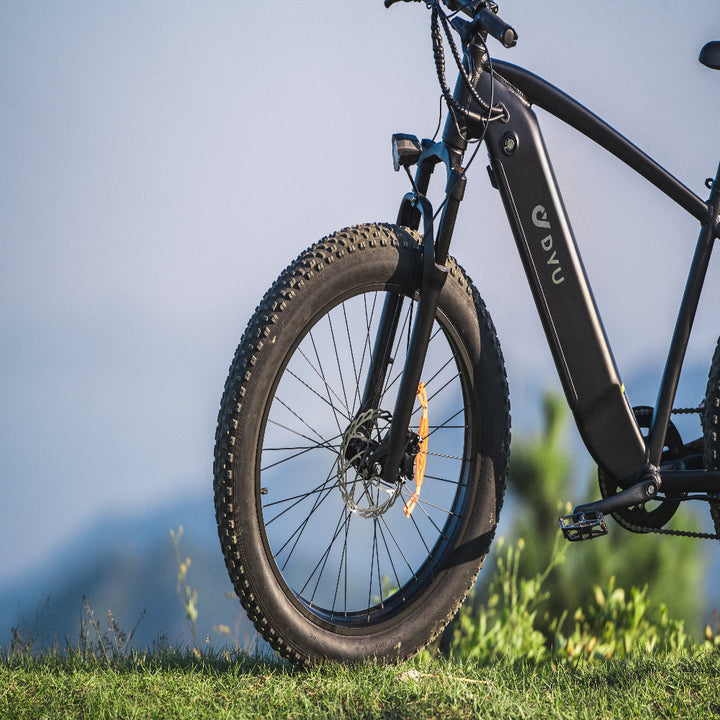 "DYU KING 750 Electric Mountain Bike with fat tires, detachable battery, and LED display"