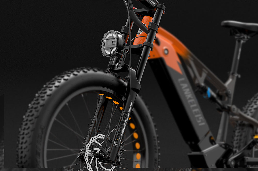 lankelaisi ebike