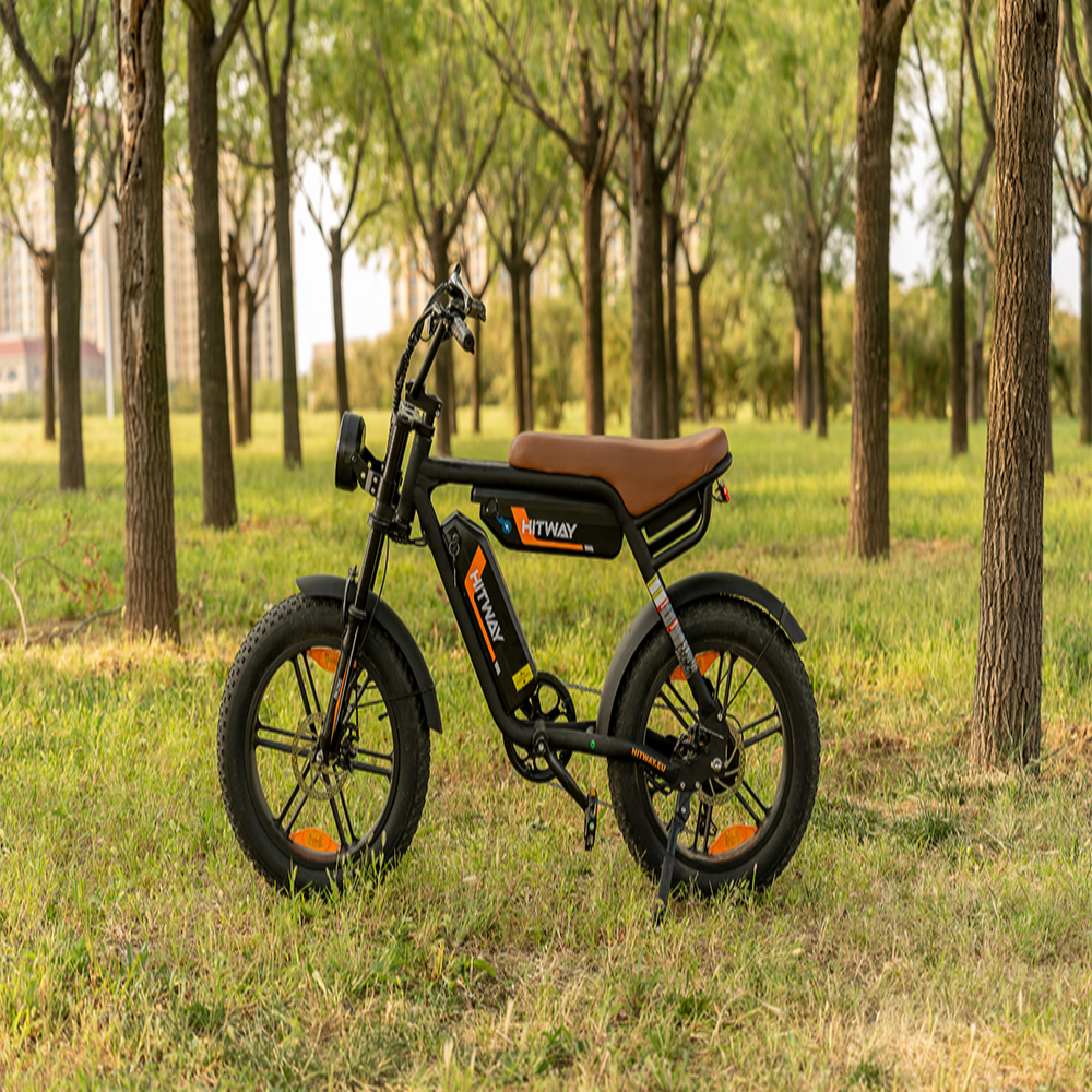 Electric bike on a grassy area with trees in the background