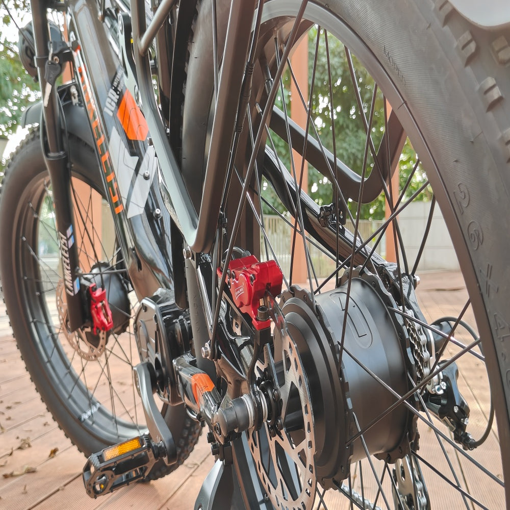 ebike lankeleisi