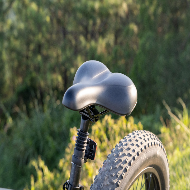 "DYU KING 750 electric mountain bike with fat tires, LED display, and detachable battery"