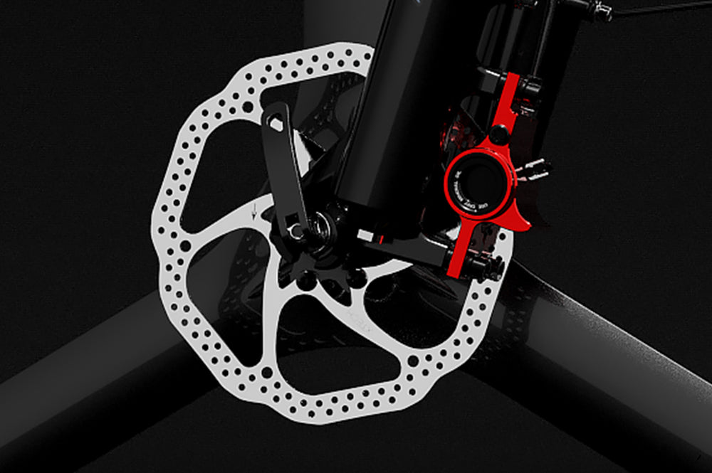 lankeleisi ebike