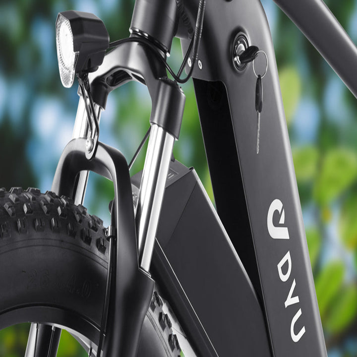 "DYU KING 750 Electric Mountain Bike with fat tires, detachable battery, and LED display"