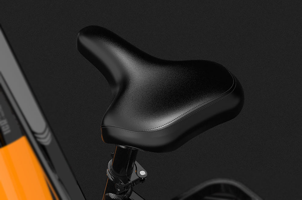 lankeleisi ebike
