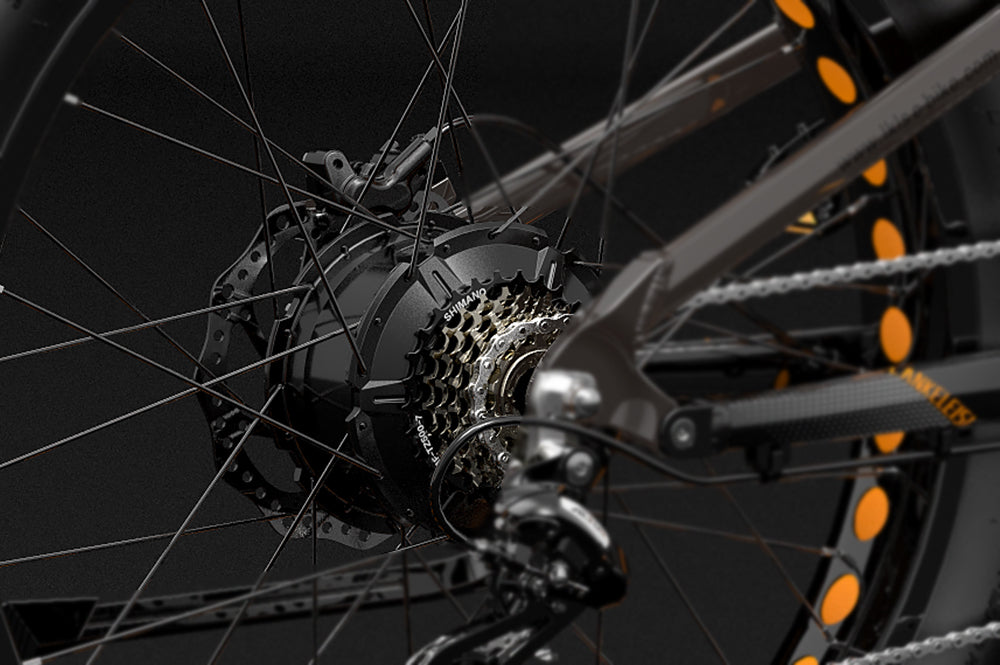 lankeleisi ebike