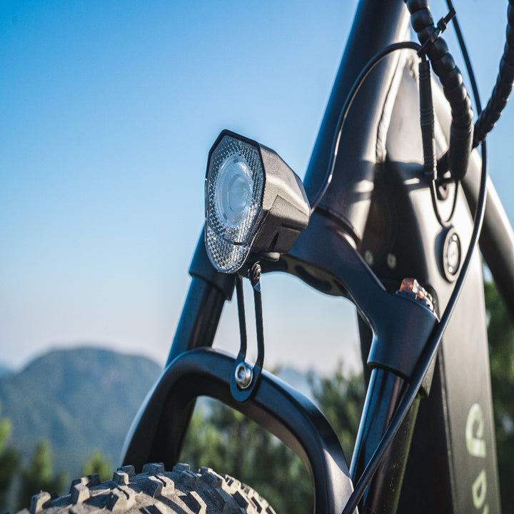 "DYU KING 750 electric mountain bike with fat tires, LED display, and detachable battery"