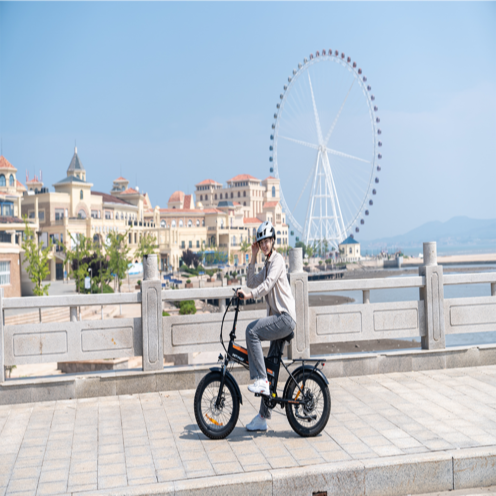 Person riding a electric bike with a Ferris wheel and cityscape in the background