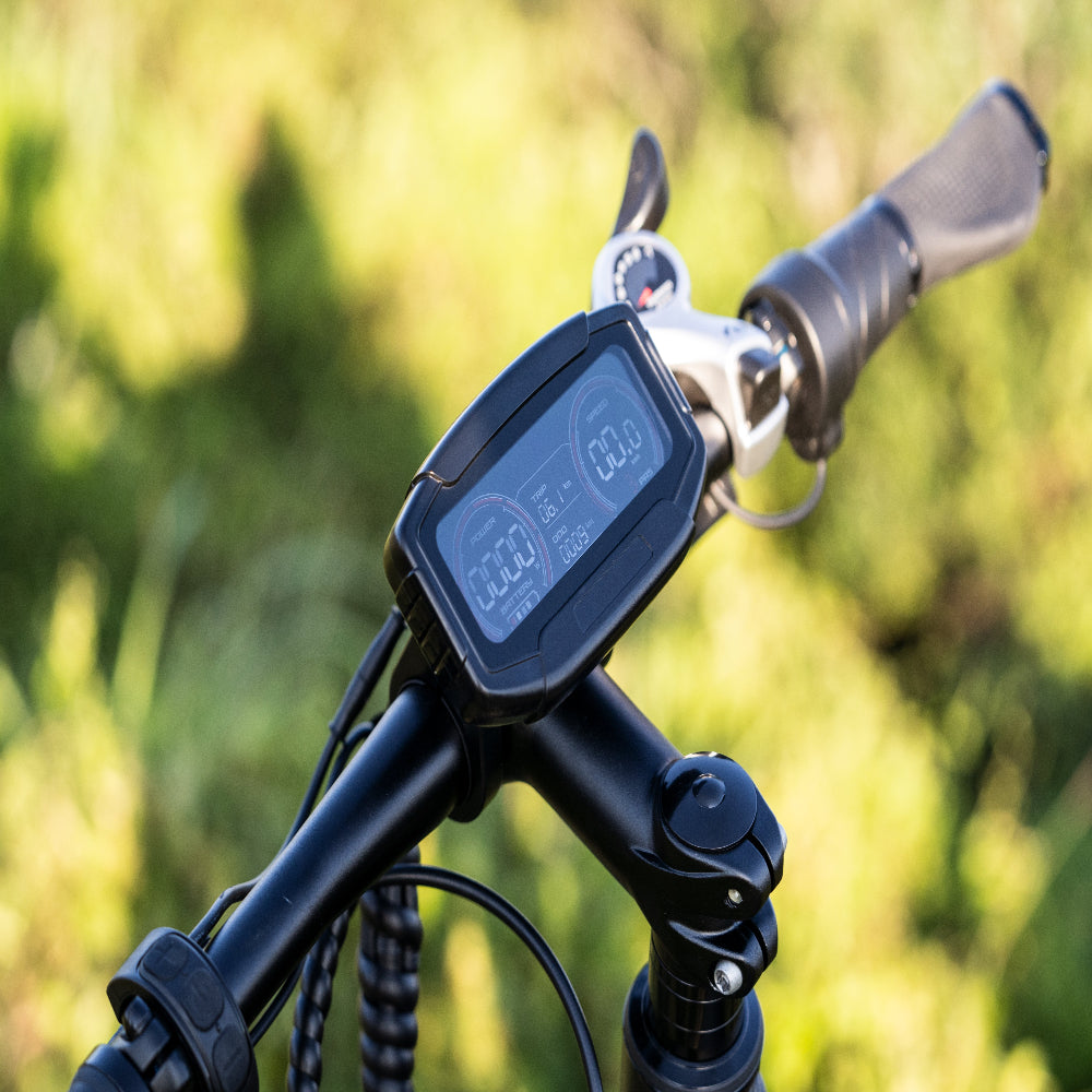 "DYU KING 750 Electric Mountain Bike with fat tires, LED display, and detachable battery"