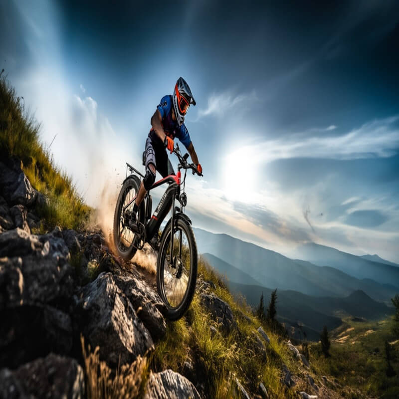 duotts ebike